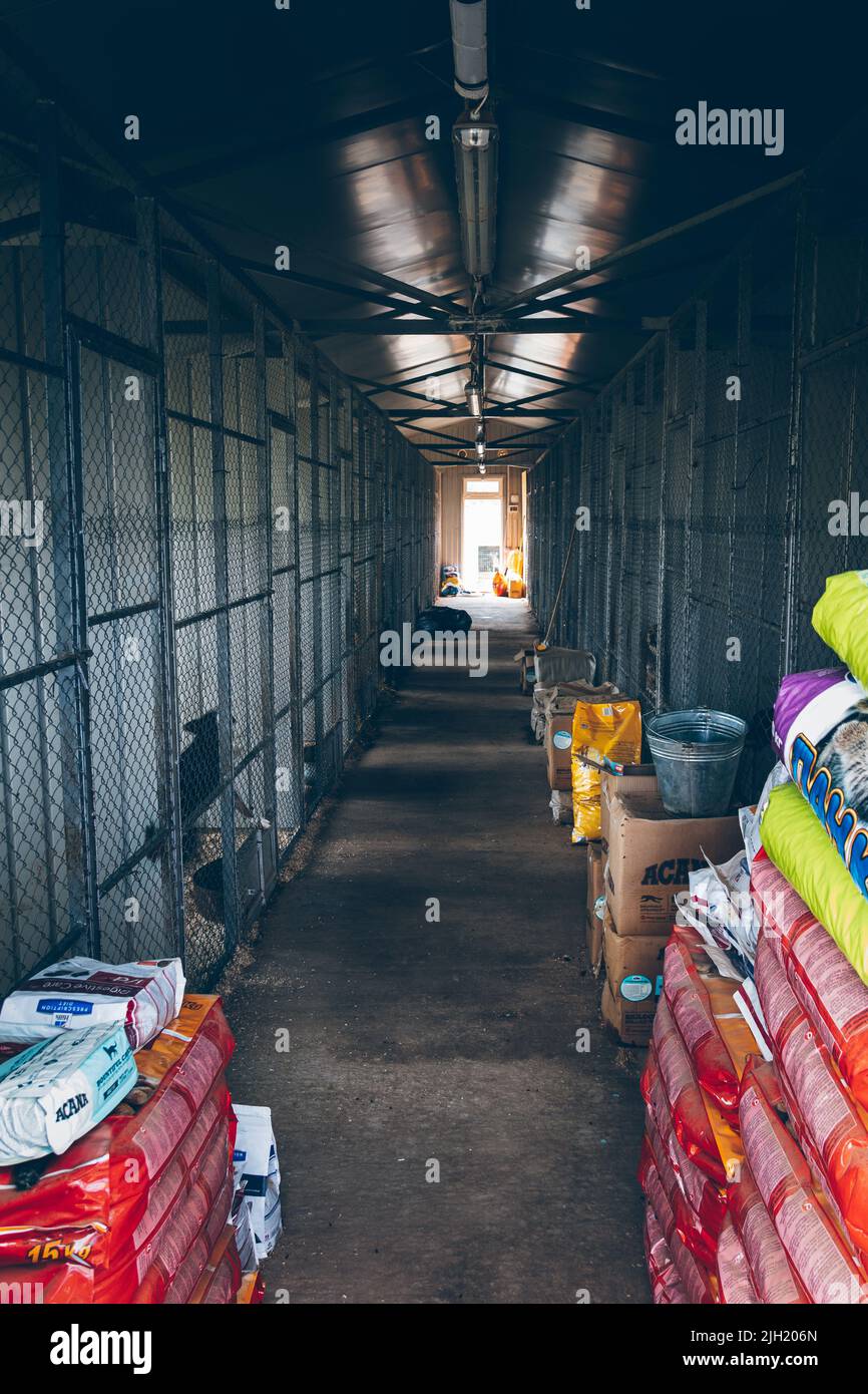 Le nuove voliere costruite a spese dei volontari presso il rifugio per animali attendono gli animali senzatetto. Aiuto agli animali. Uzhhorod, Ucraina Foto Stock