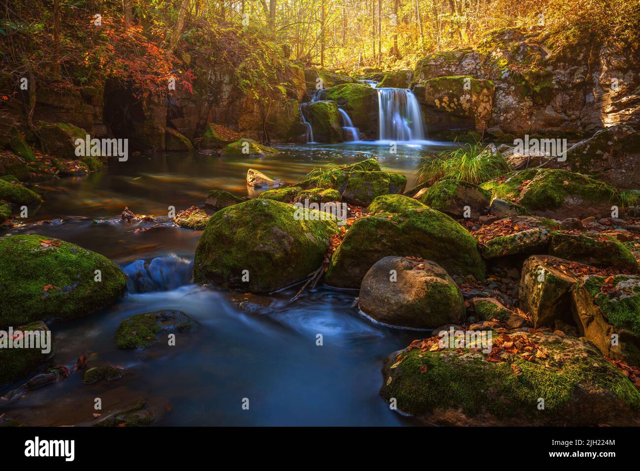Cascata di montagna autunno. Foresta nel mese di ottobre Foto Stock