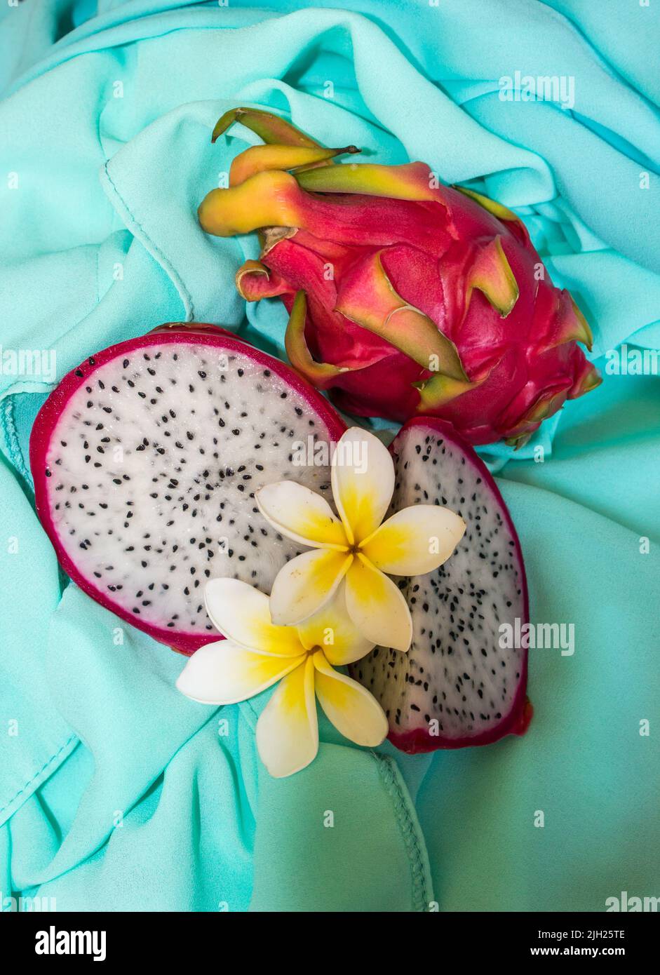 Un frutto di drago intero e affettato, decorato con fiori Frangipanni, su sfondo turchese Foto Stock