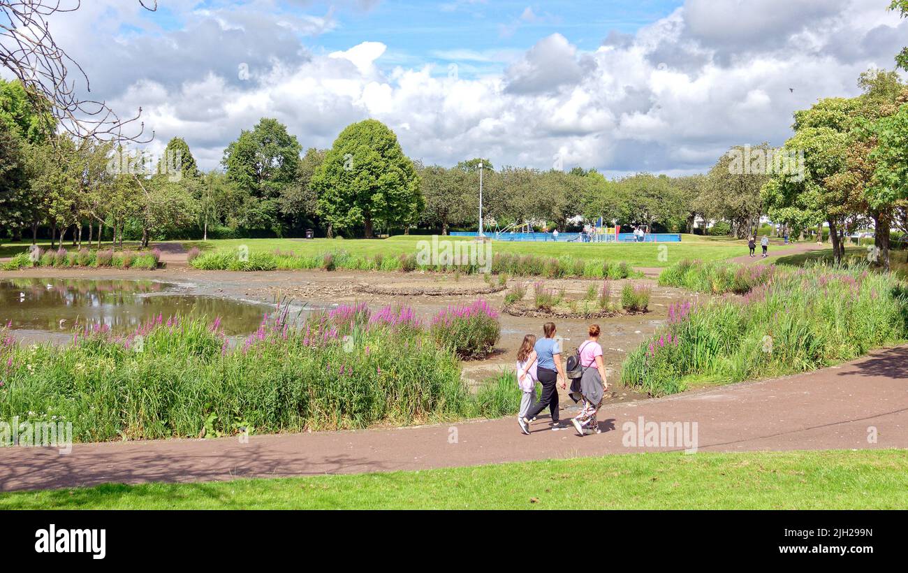 Glasgow, Scozia, Regno Unito luglio 14th 2022. Regno Unito Meteo: Siccità colpito Knightswood parco nautica stagno si asciuga in su. Metà dello stagno che ospita le piante e una colonia di cigni si è trasformata in fango asciutto. L'area è stata piantata con piante acquatiche e un'isola su cui si coltivano uccelli, che ora è diventata una collina sulla pianura del fango. Il NO di cigni è diminuito da oltre cinquanta a due coppie come il resto si sono mossi, ci sono poche anatre. I gabbiani sono rimasti, ma diventano più aggressivi poiché le persone non hanno più il numero di cigni e anatre da nutrire. Il locale club barca non può usarlo e solo appendere intorno al loro locale club h Foto Stock