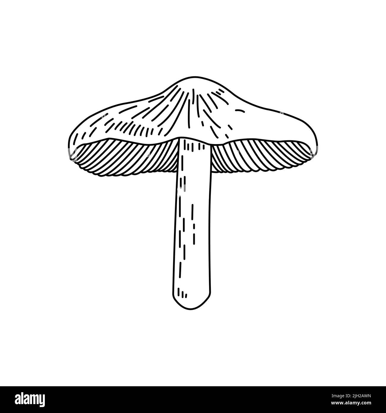 Logo raffigurante funghi. Tatuaggio di funghi in linea stile d'arte. Clip art bianco e nero con sfondo bianco isolato. Illustrazione Vettoriale