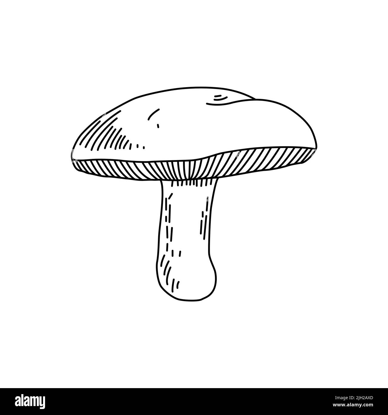 Logo raffigurante funghi. Tatuaggio di funghi in linea stile d'arte. Clip art bianco e nero con sfondo bianco isolato. Illustrazione Vettoriale