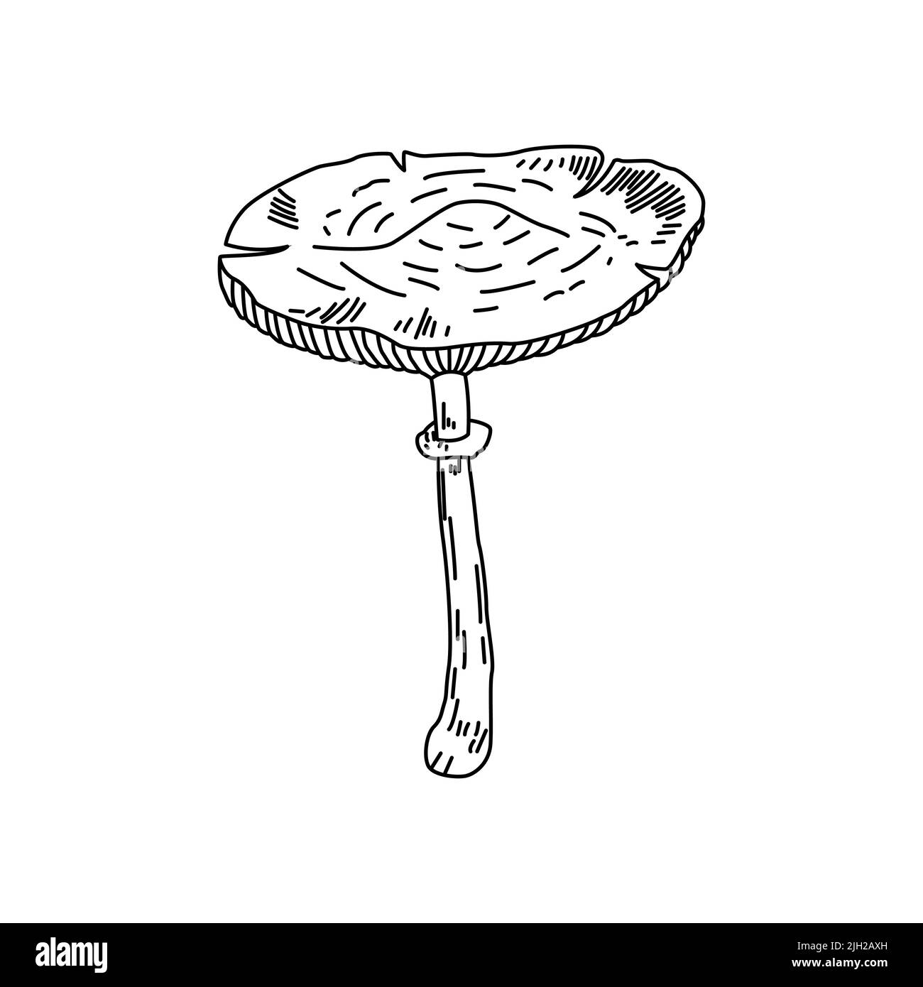 Logo raffigurante funghi. Tatuaggio di funghi in linea stile d'arte. Clip art bianco e nero con sfondo bianco isolato. Illustrazione Vettoriale