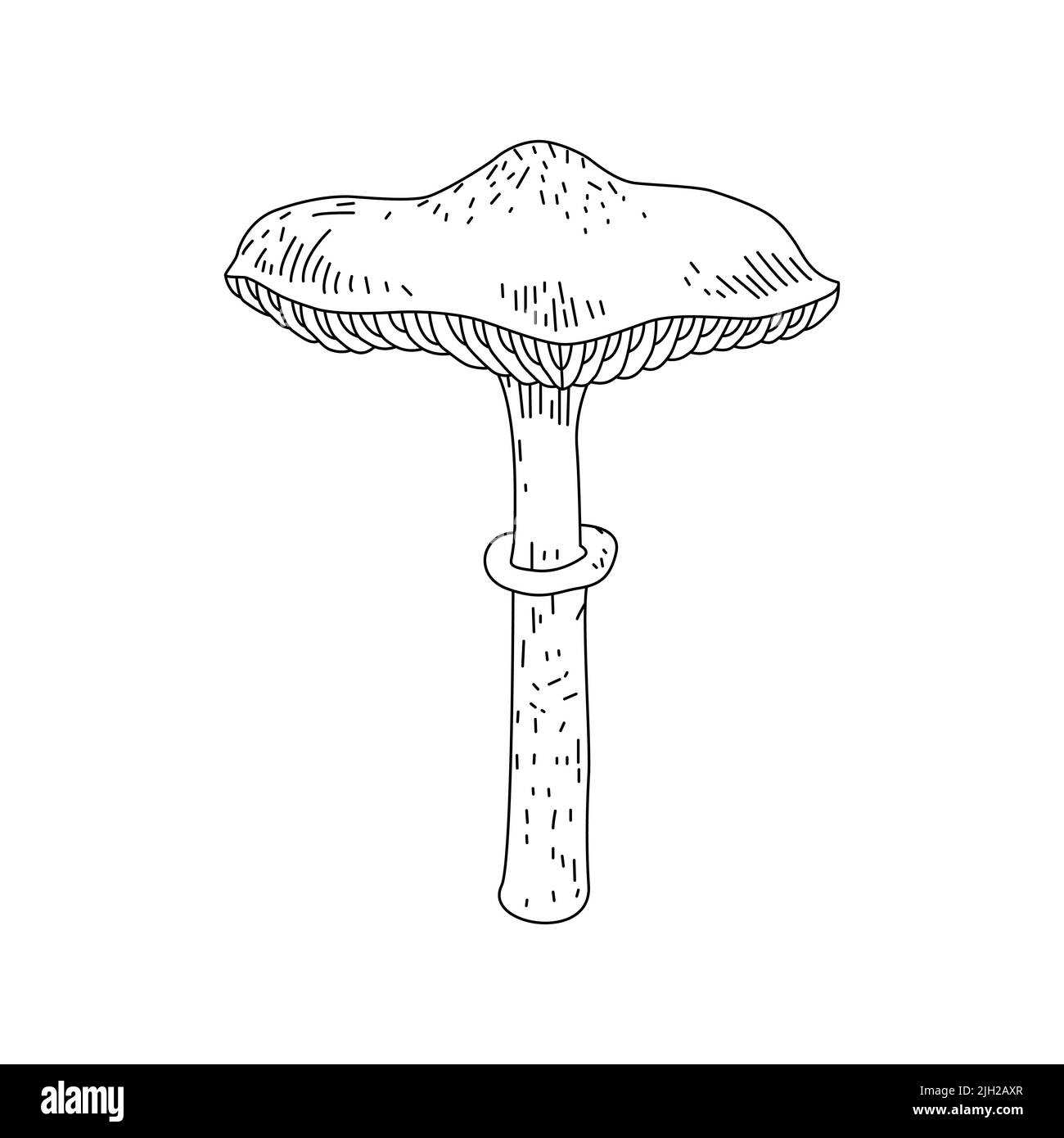 Logo raffigurante funghi. Tatuaggio di funghi in linea stile d'arte. Clip art bianco e nero con sfondo bianco isolato. Illustrazione Vettoriale