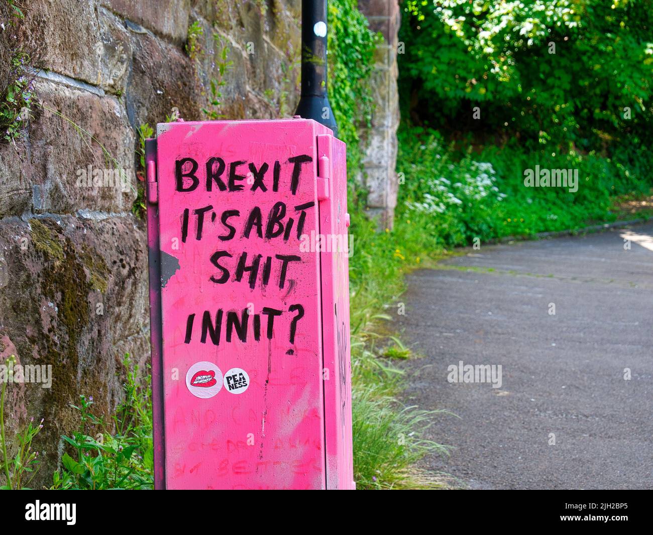 Graffiti dipinti su una scatola di colore rosa accanto a un sentiero esprime delusione per l'effetto di uscita del Regno Unito dall'Unione europea (UE) Foto Stock