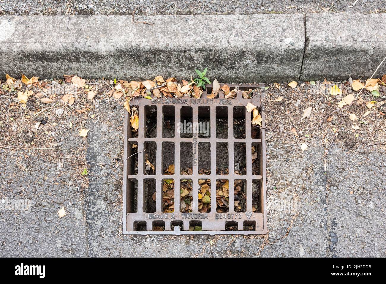 Coperchio per scarico stradale, grill in metallo, Galles, Regno Unito Foto Stock