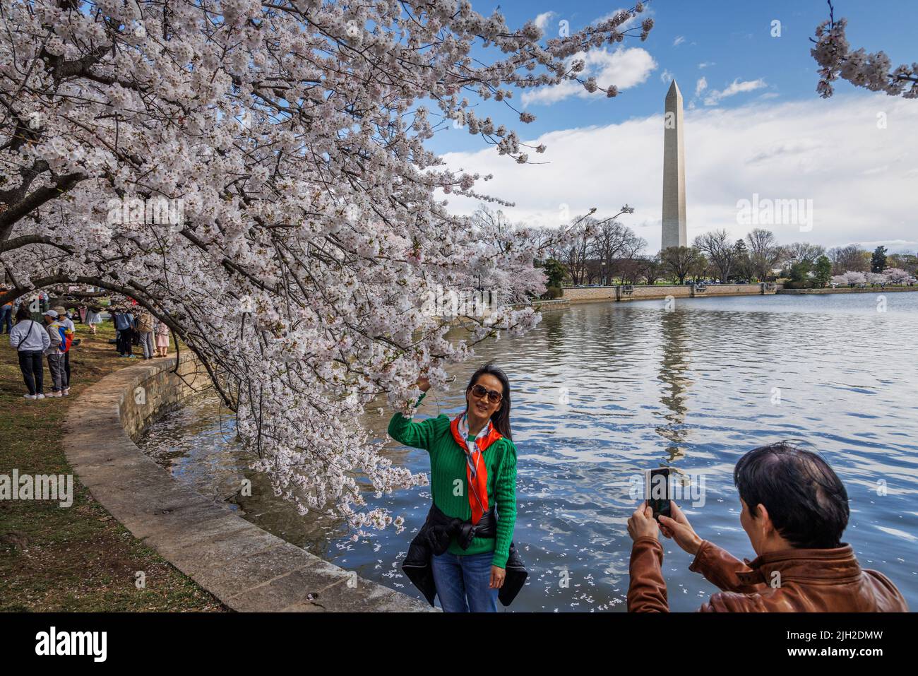 I turisti apprezzano la fioritura primaverile dei ciliegi a Washington, DC. Foto Stock