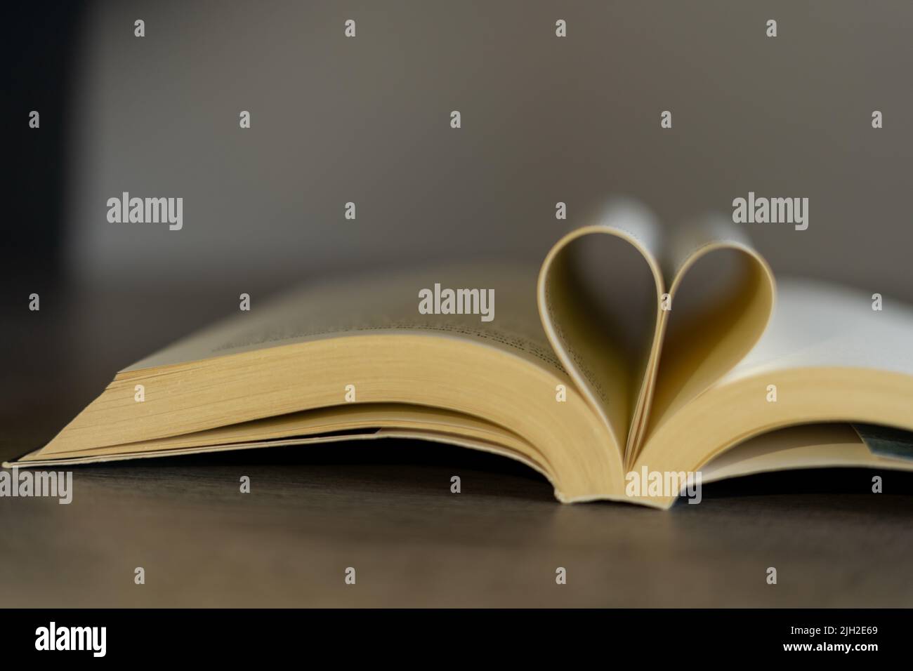 Festeggia il giorno del libro regalando al tuo partner Foto Stock