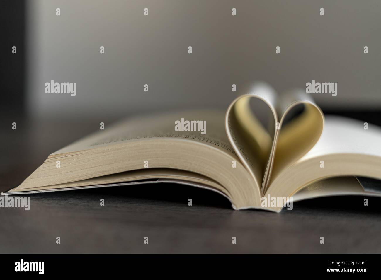 Festeggia il giorno del libro regalando al tuo partner Foto Stock