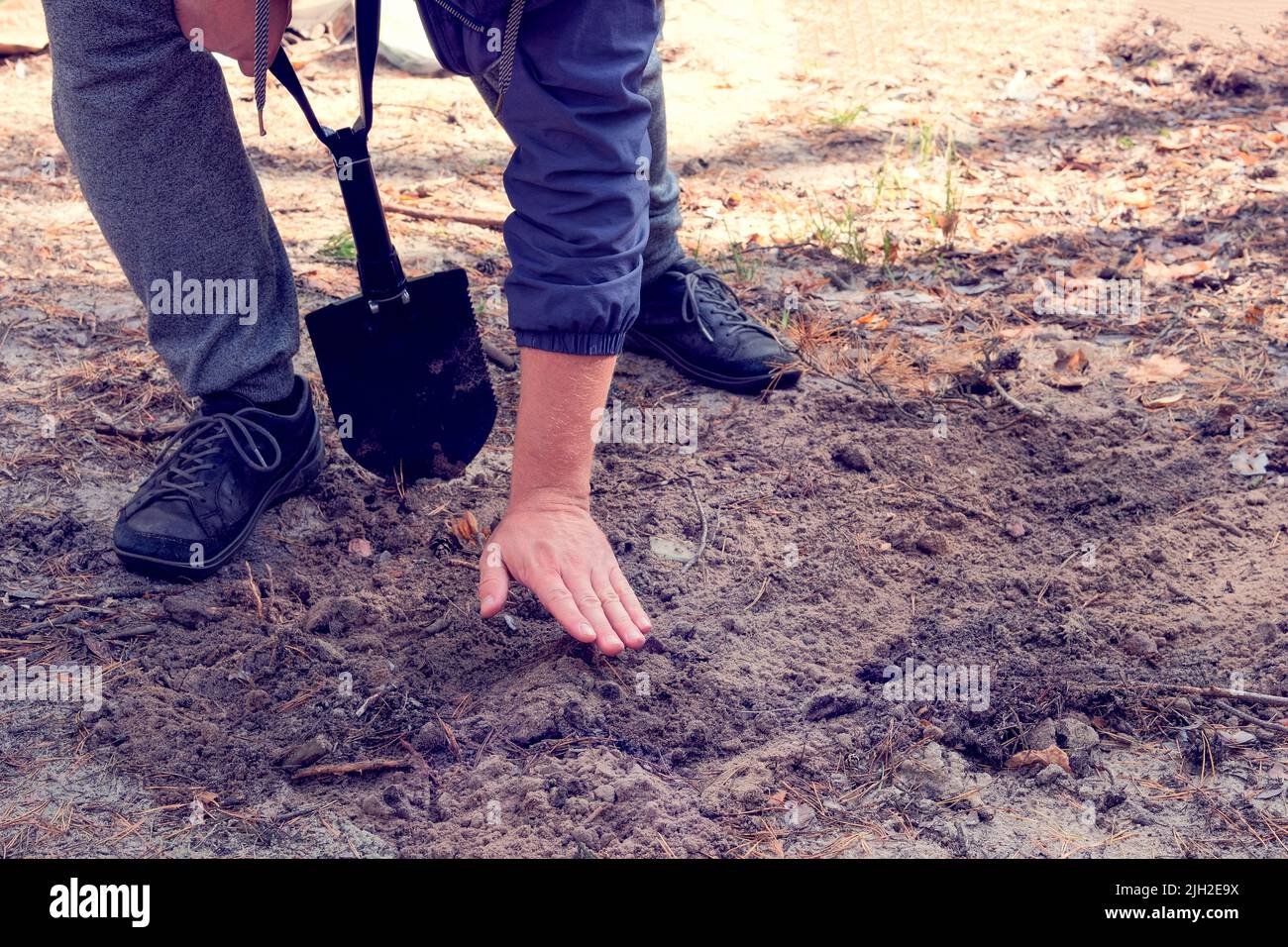 L'uomo scava terreno con una pala nella foresta. Pala nera in mani umane. Foto Stock