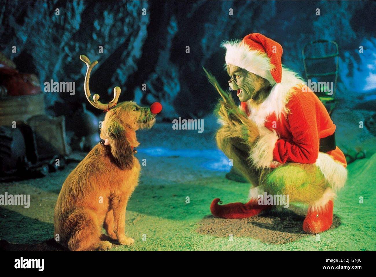 Max dog grinch stole christmas immagini e fotografie stock ad alta