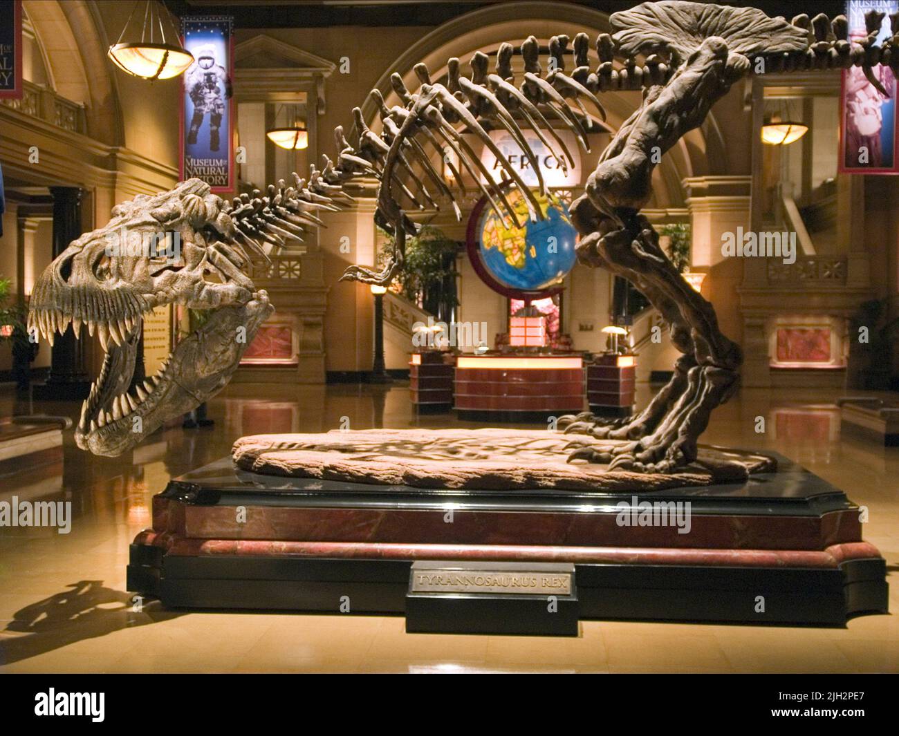 Scheletro di dinosauro, UNA NOTTE AL MUSEO, 2006 Foto Stock