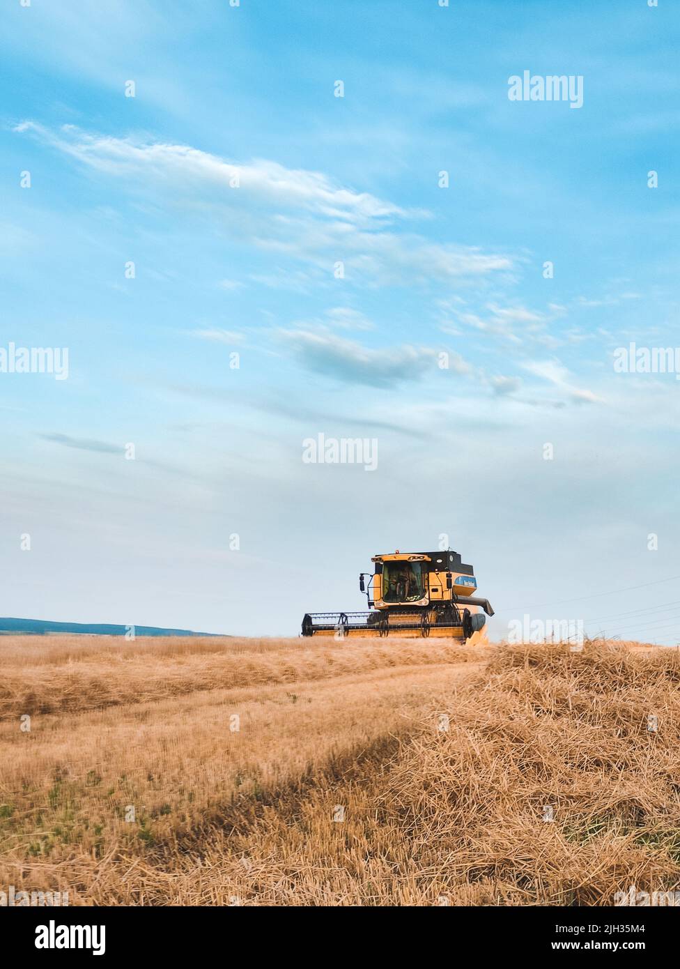 Mietitrebbia New Holland al lavoro Foto Stock