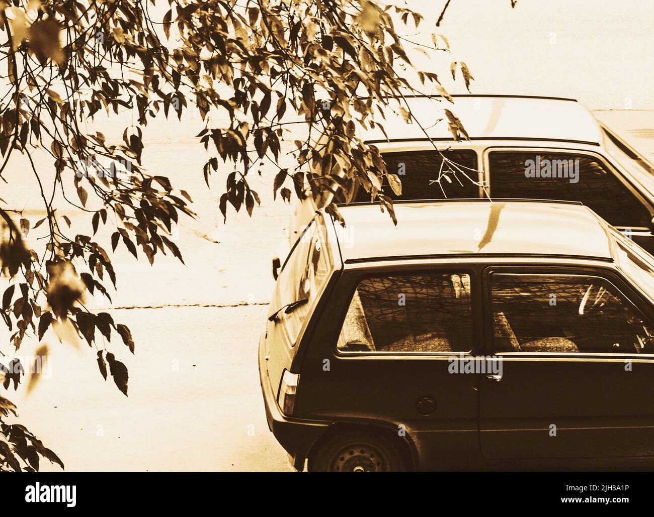 auto di classe piccola sulla strada autunnale Foto Stock