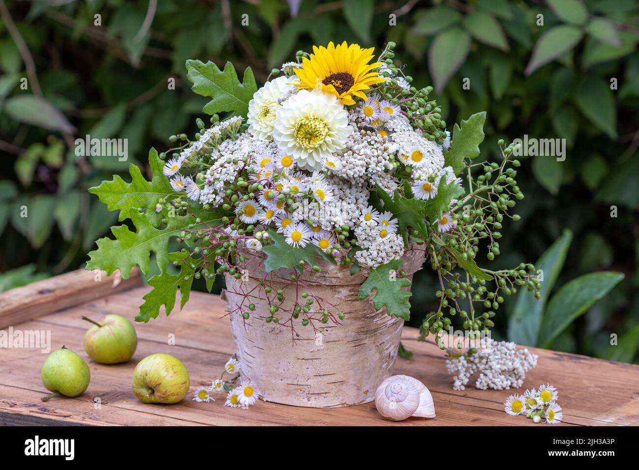 bouquet di dahlias bianco, girasole, cerotti selvatici, anfrasche, elderbiche e foglie di quercia Foto Stock