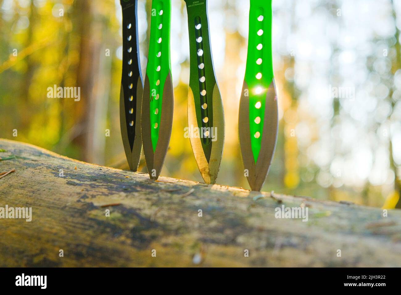 Gettando coltelli in un log in una foresta soleggiato.Sport e hobby concept.Sport attrezzature. Foto Stock
