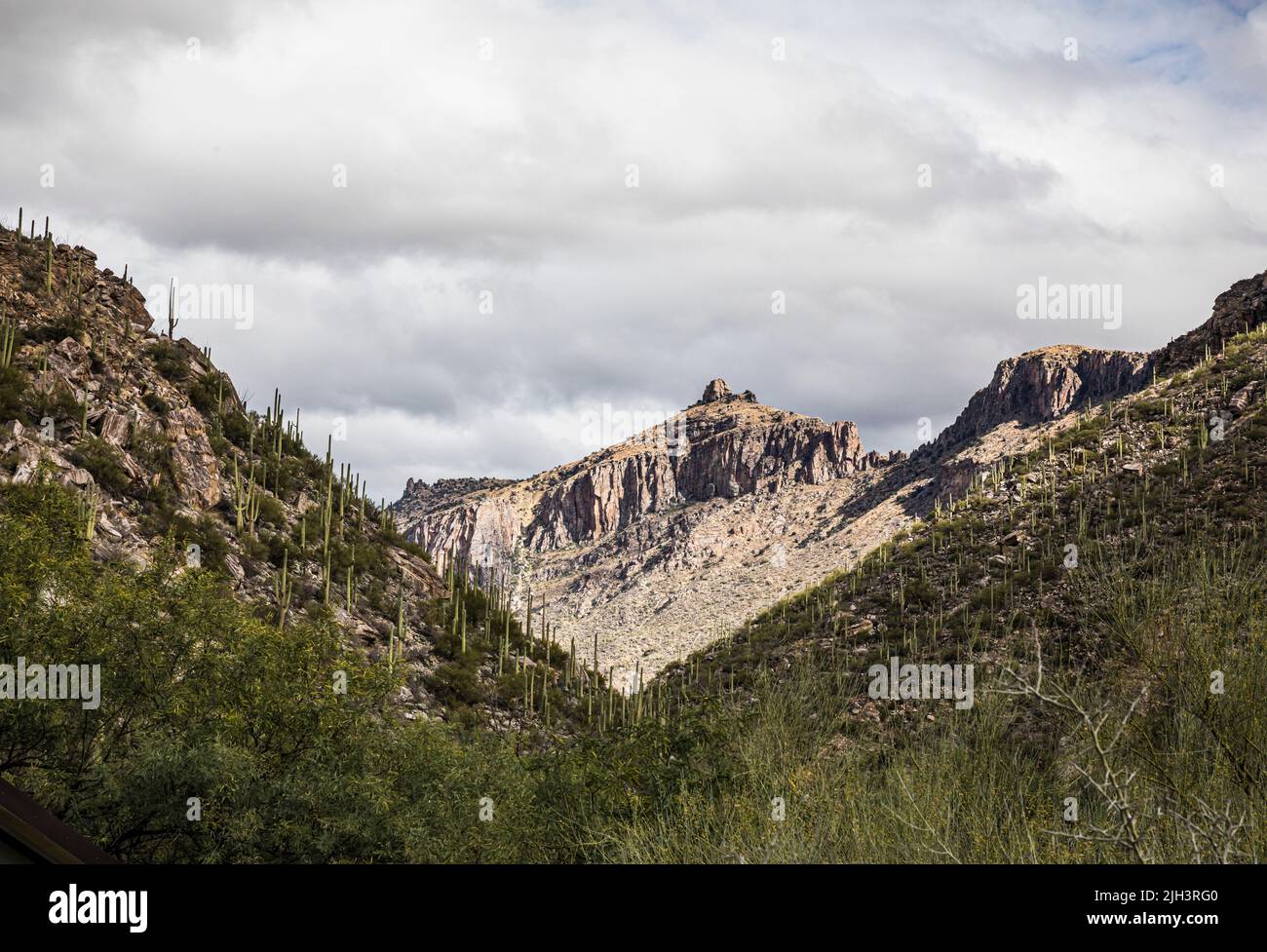 Area ricreativa del Sabino Canyon fuori Tuscon, Arizona, in una giornata di tempeste. Foto Stock