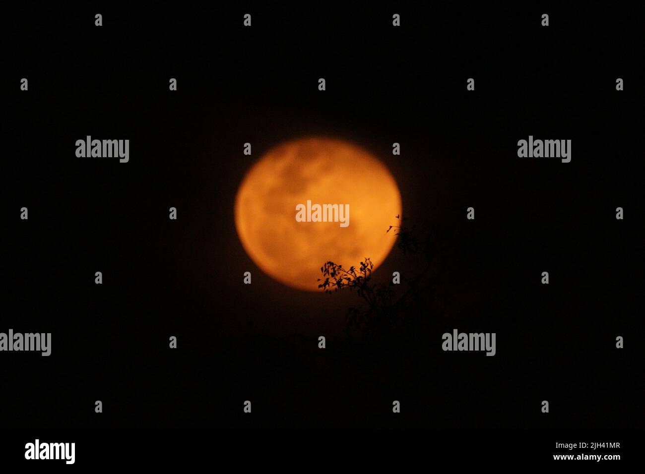 Luna piena in una giornata di poya in Sri Lanka Foto Stock