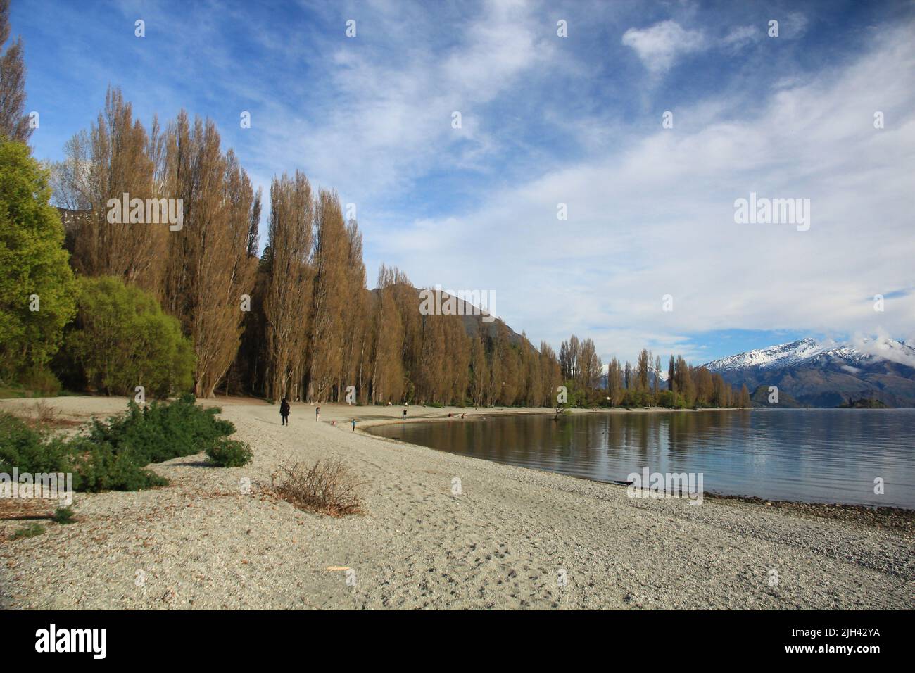 Paesaggio incredibile intorno a Wanaka in Nuova Zelanda. Foto Stock