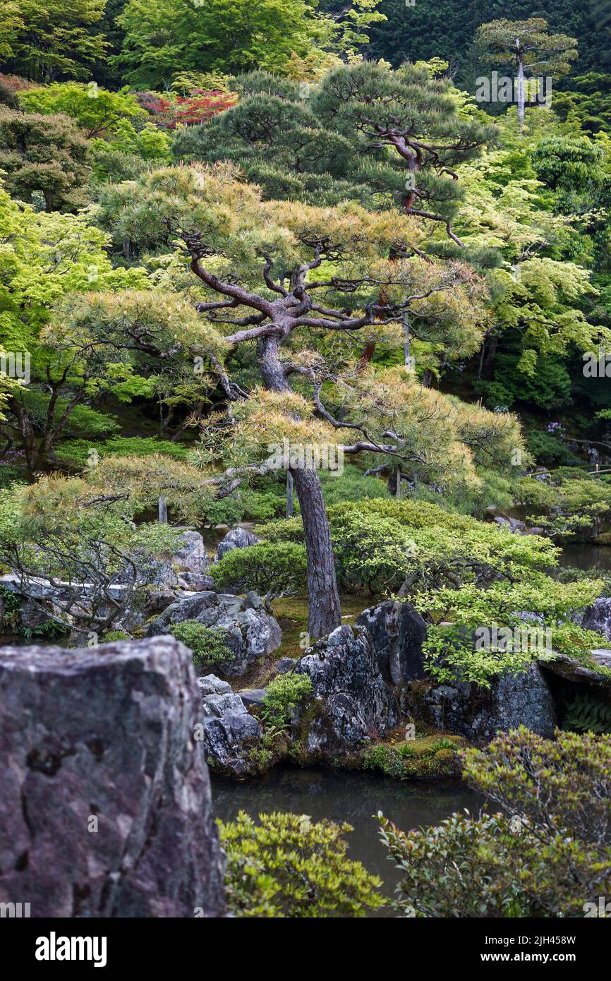 Vista su alberi, laghetto, fiori e piante nel giardino zen giapponese del tempio di Ginkakuji a Kyoto, Giappone. Nessuna gente. Foto Stock