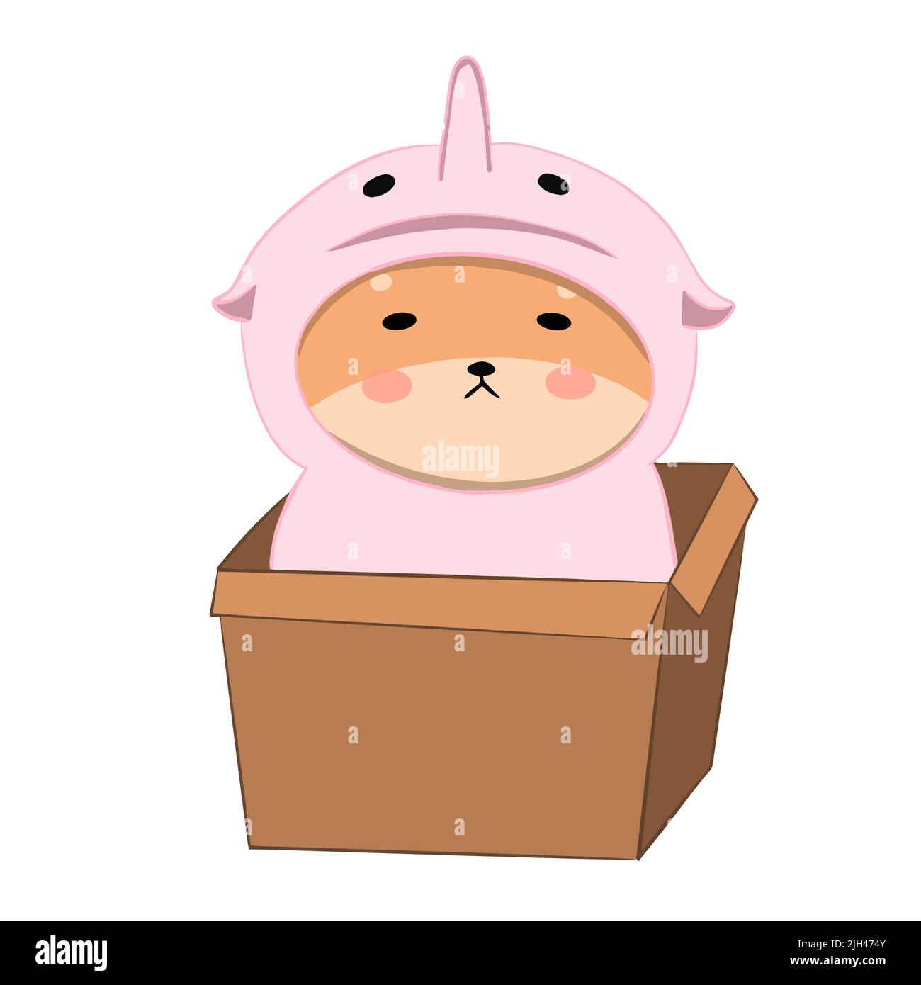 shiba inu in pigiama si siede in una scatola Illustrazione Vettoriale