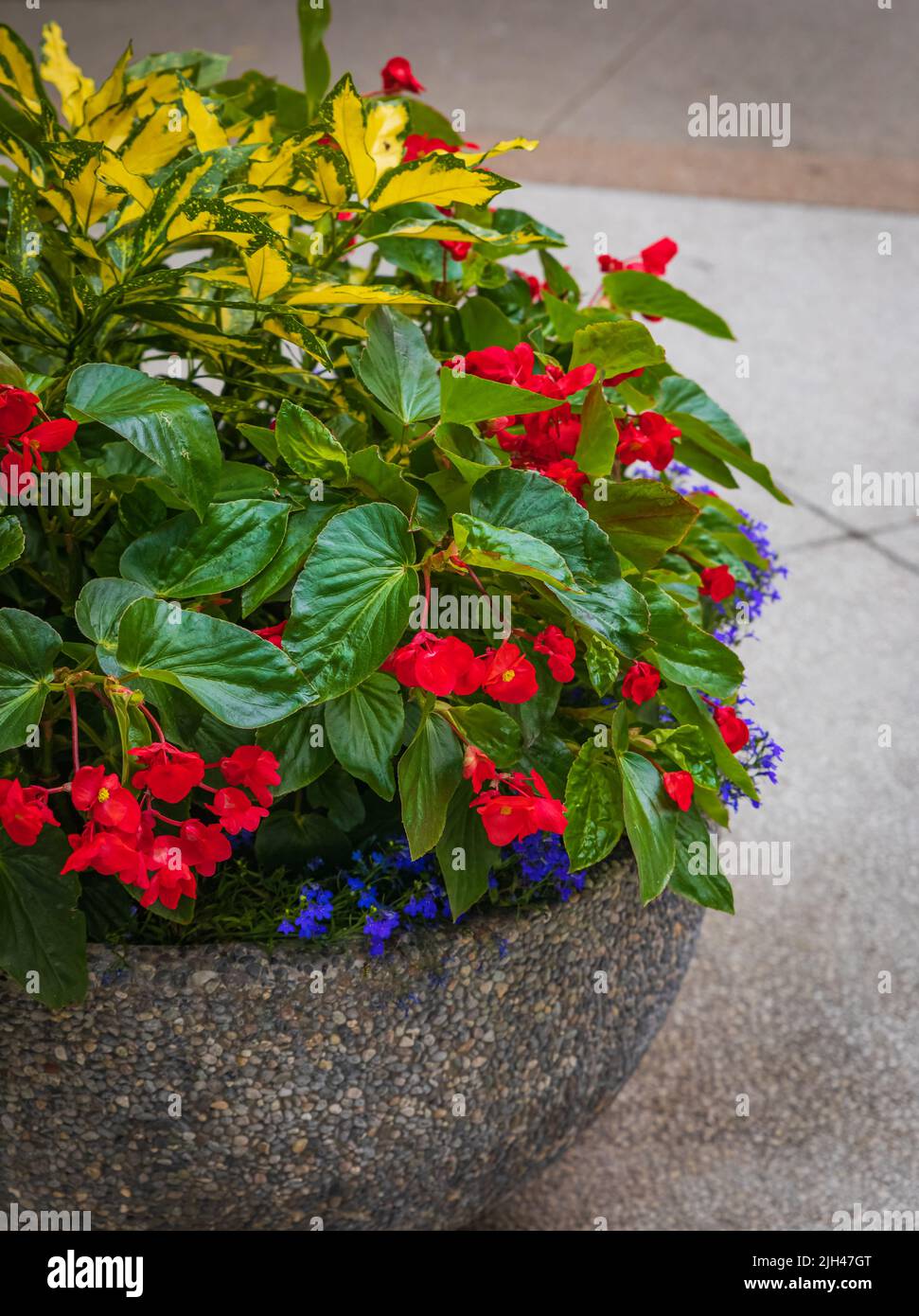 VASO FIORI TRASPARENTI Fiori Idroponica Piantatrice Di Vetro Tubo Di