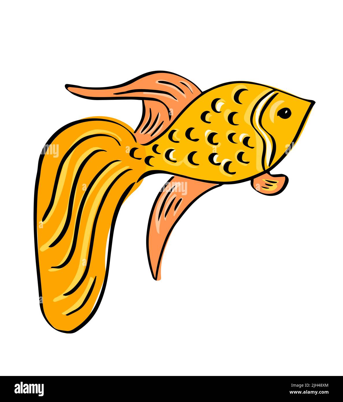 Silhouette di un goldfish. Disegno a mano del pesce d'oro. Illustrazione vettoriale. Illustrazione Vettoriale