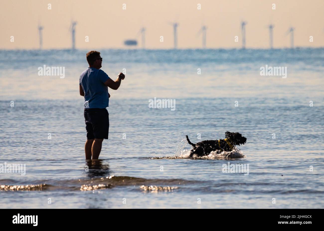 Littlehampton, West Sussex, Regno Unito. Venerdì 15th Luglio 2022. Persone che camminano cani lungo la spiaggia e in mare in un'altra mattina molto calda e soleggiata sulla costa meridionale. Credit: Geoff Smith/Alamy Live News Foto Stock