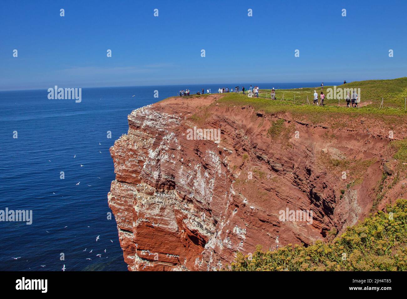 Turisti che camminano lungo la linea di scogliera, Germania, Schleswig-Holstein, Helgoland Foto Stock