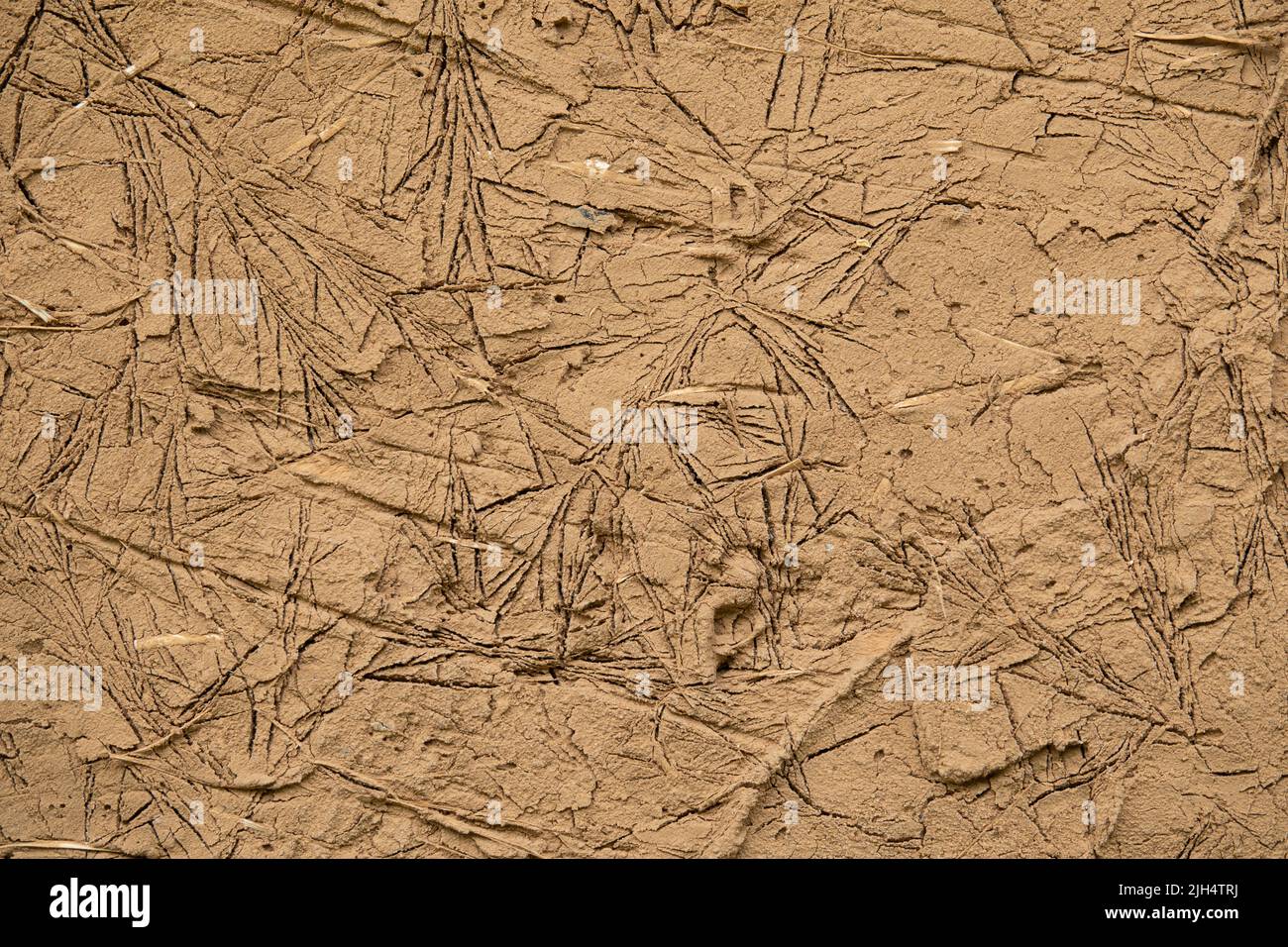 Bagnato cracked creta texture. Fondo di terracotta cruda Foto Stock