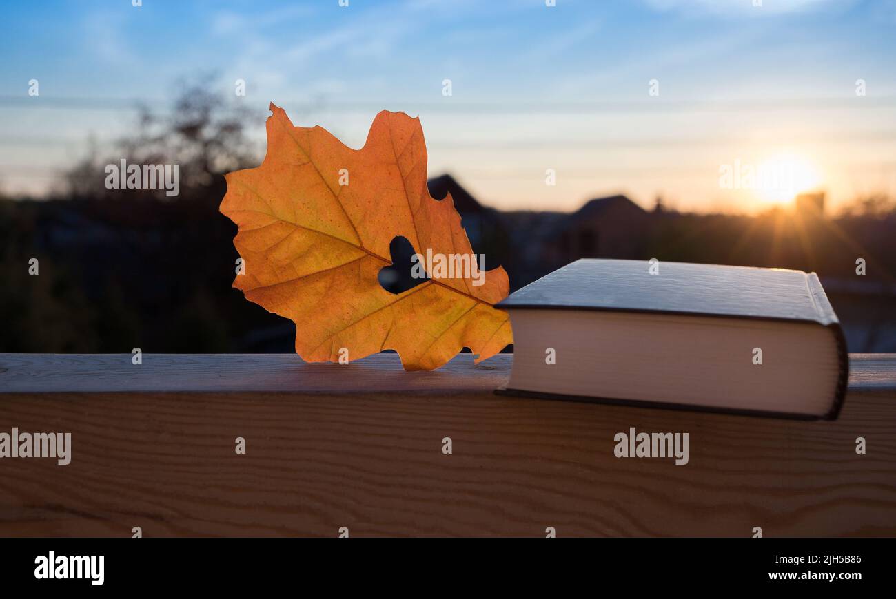 Amore d'autunno immagini e fotografie stock ad alta risoluzione - Pagina 3  - Alamy