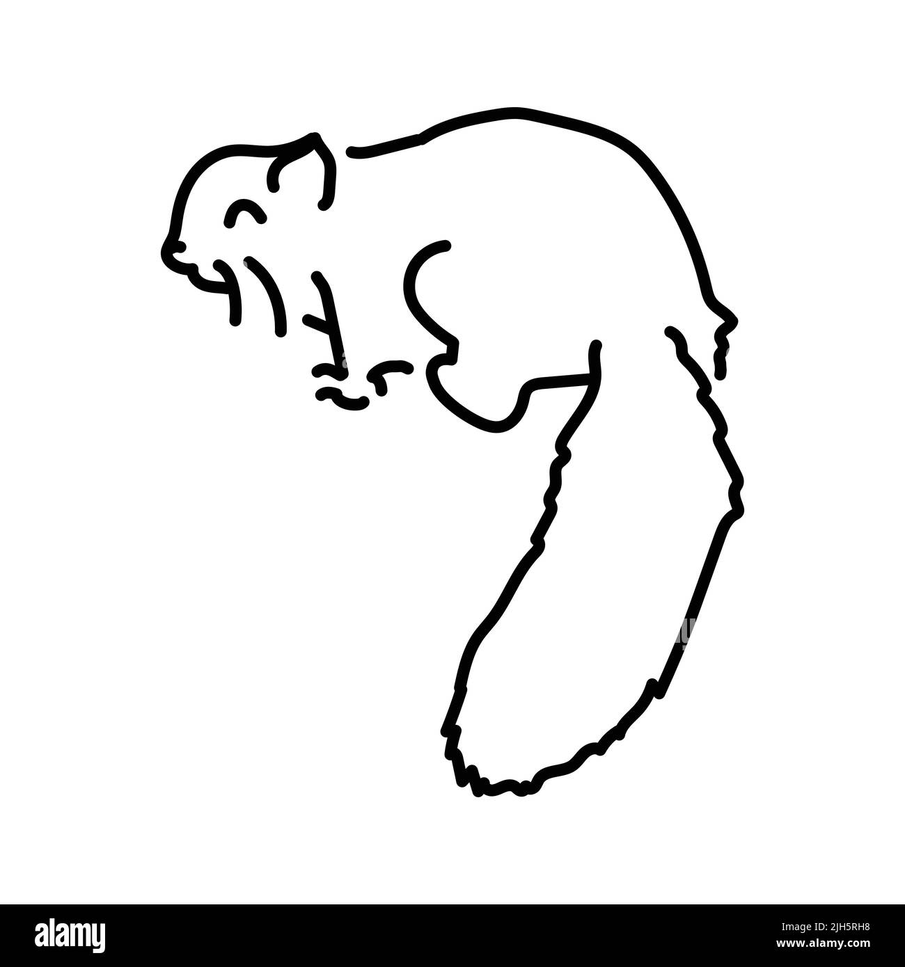 Illustrazione della linea di colore dello scoiattolo volante australiano. Animali dell'Australia. Illustrazione Vettoriale