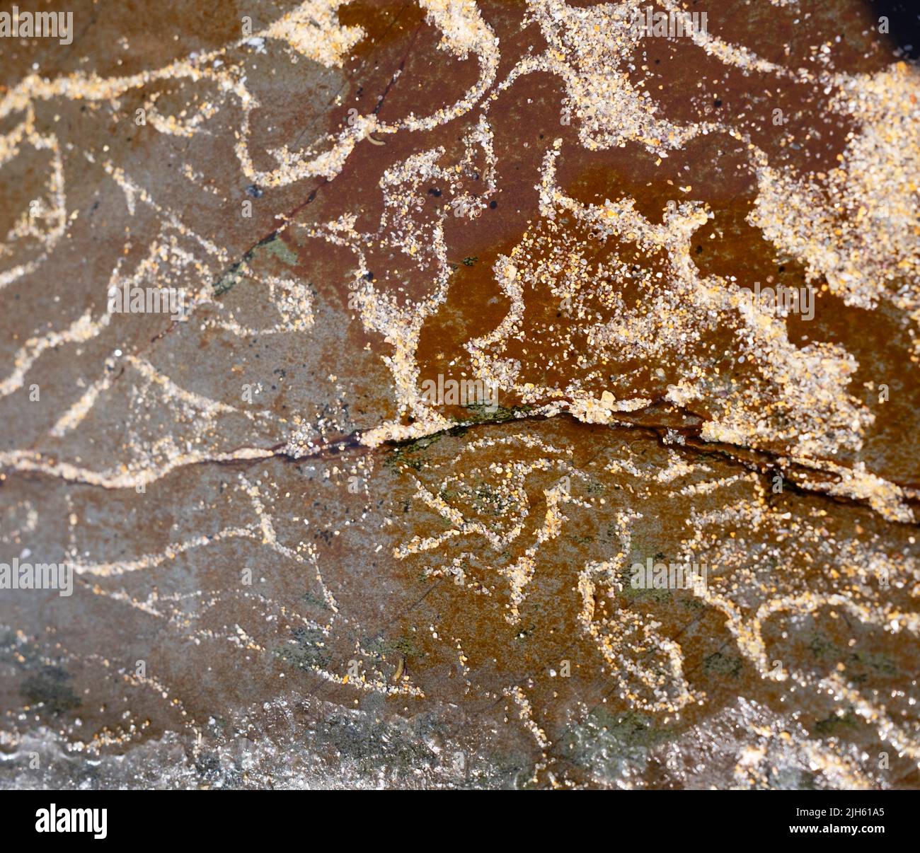 Sabbia di mare modelli su rocce in primo piano in laguna nascosta a Zambujeira do Mar, Algarve, Portogallo Foto Stock
