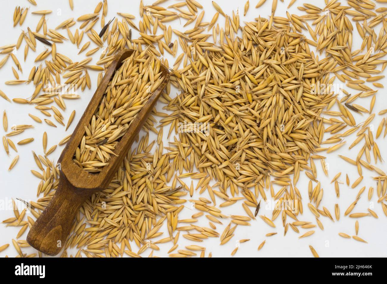 Grano di avena su sfondo bianco e avena in un cucchiaio di legno Foto Stock