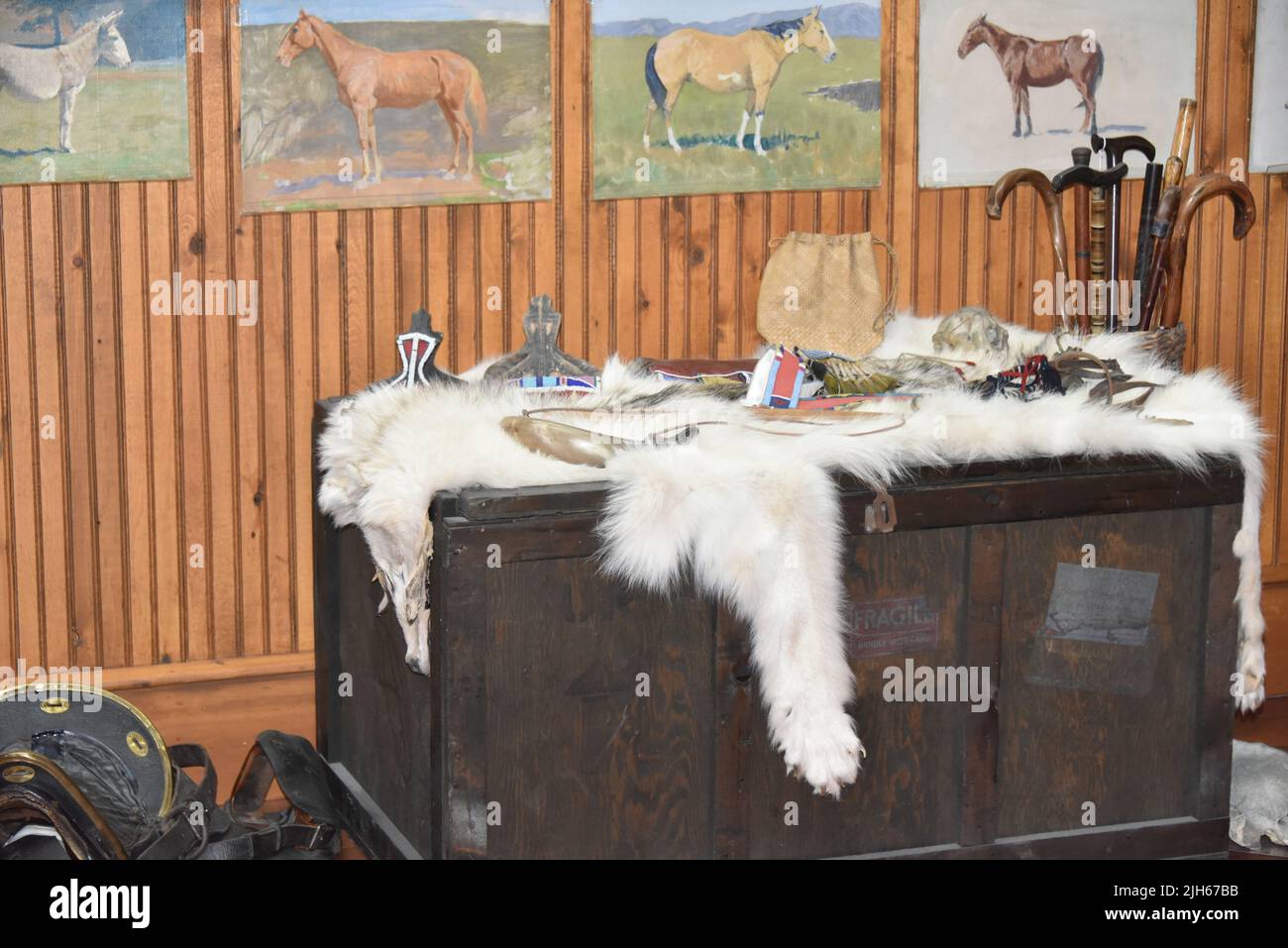 Cody, Wyoming. USA. 5/22/2022. Buffalo Bill Center of the West (formalmente>Buffalo Bill Historical Center). 5-Musuem. Foto Stock