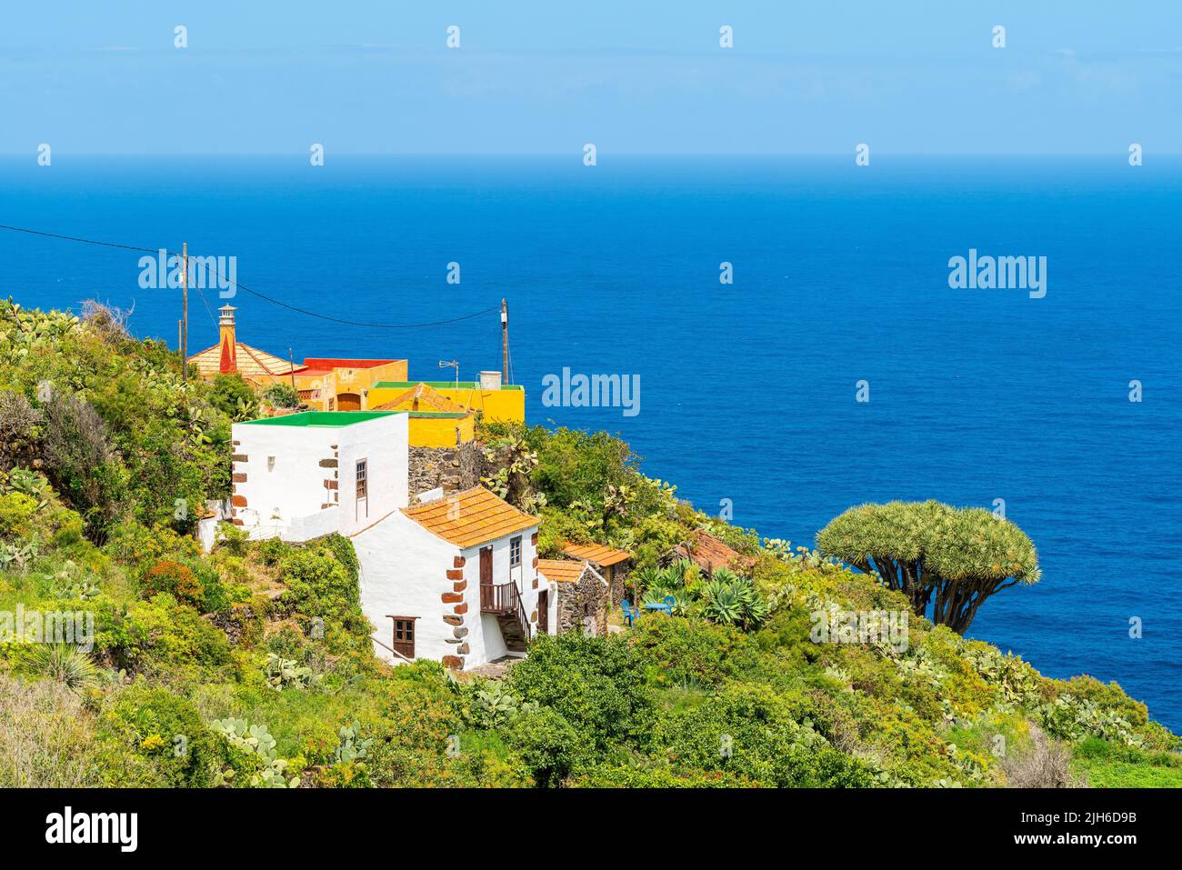 Case e alberi di drago nel villaggio di El Tablado, la Palma Island, Isole Canarie, Spagna Foto Stock