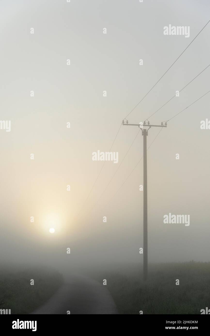 Strada con piloni elettrici, sole mattutino nella nebbia, Renania settentrionale-Vestfalia, Germania Foto Stock
