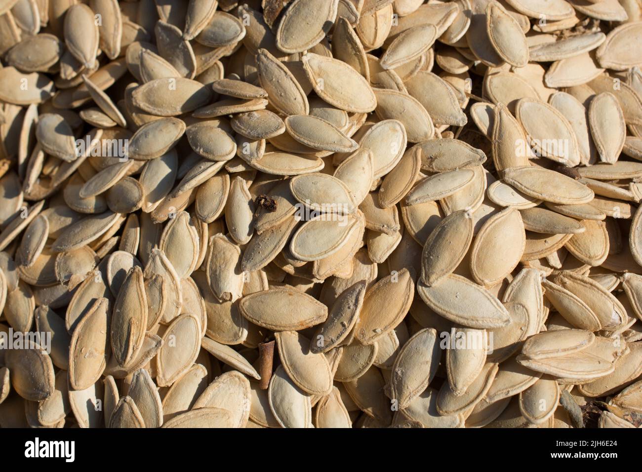 Quantità abbondante di sgranati Semi di zucca nella vista Foto Stock