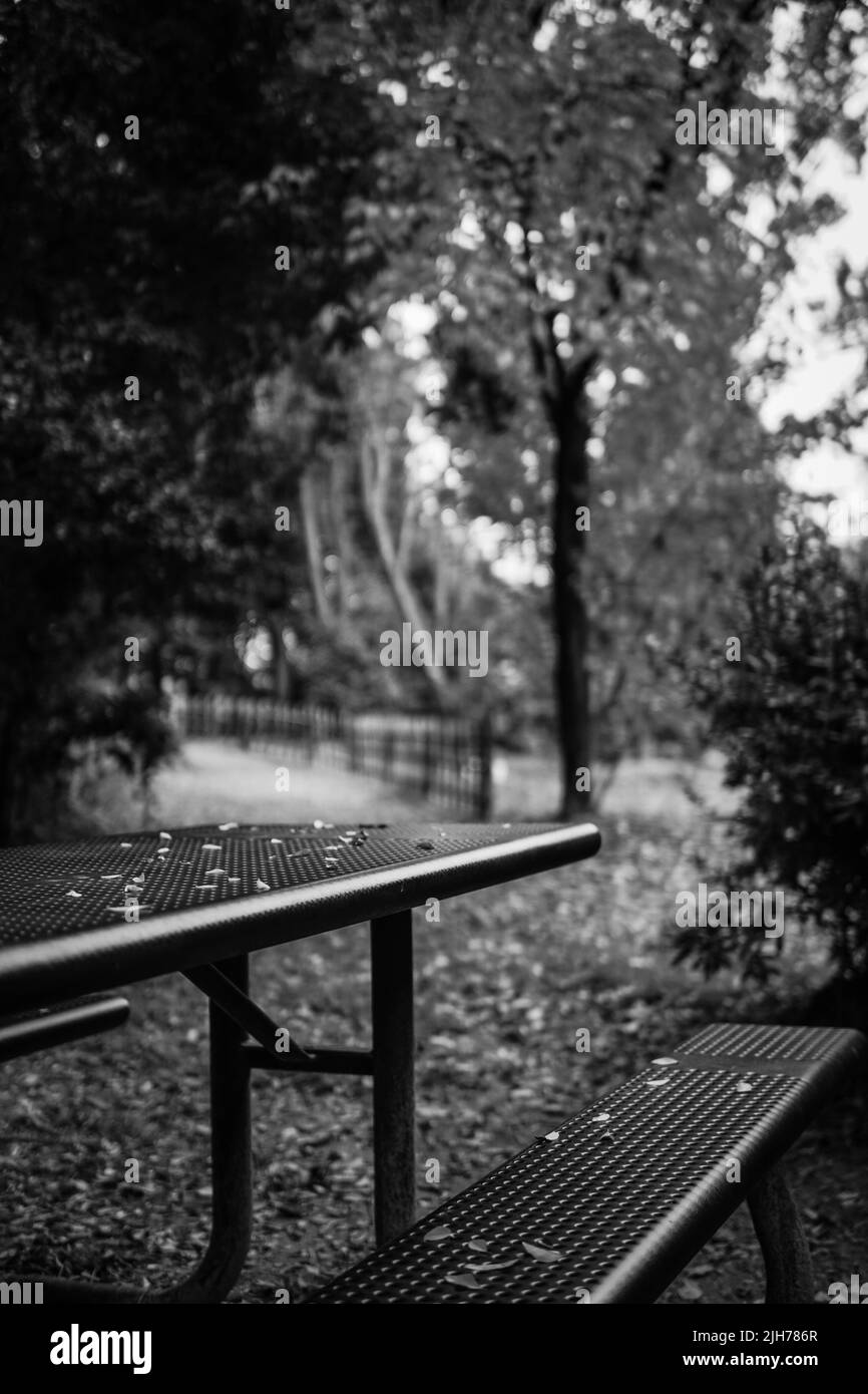 Panchina in un parco Foto Stock