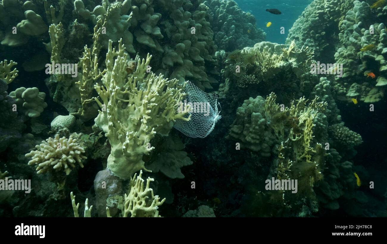 Scartato cucina plastica deposito netto shopping appendere giù di barriera corallina. Inquinamento plastico dell'oceano. Borsa in rete di plastica appesa su un bel corallo Foto Stock