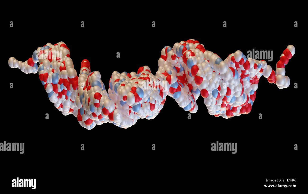 3D di molecola di peptide glucagone-simile 1 (GLP1, 7-36), un potente ormone antiiperglicemico. Un neuropeptide e un incretina, trattamento di diabet Foto Stock