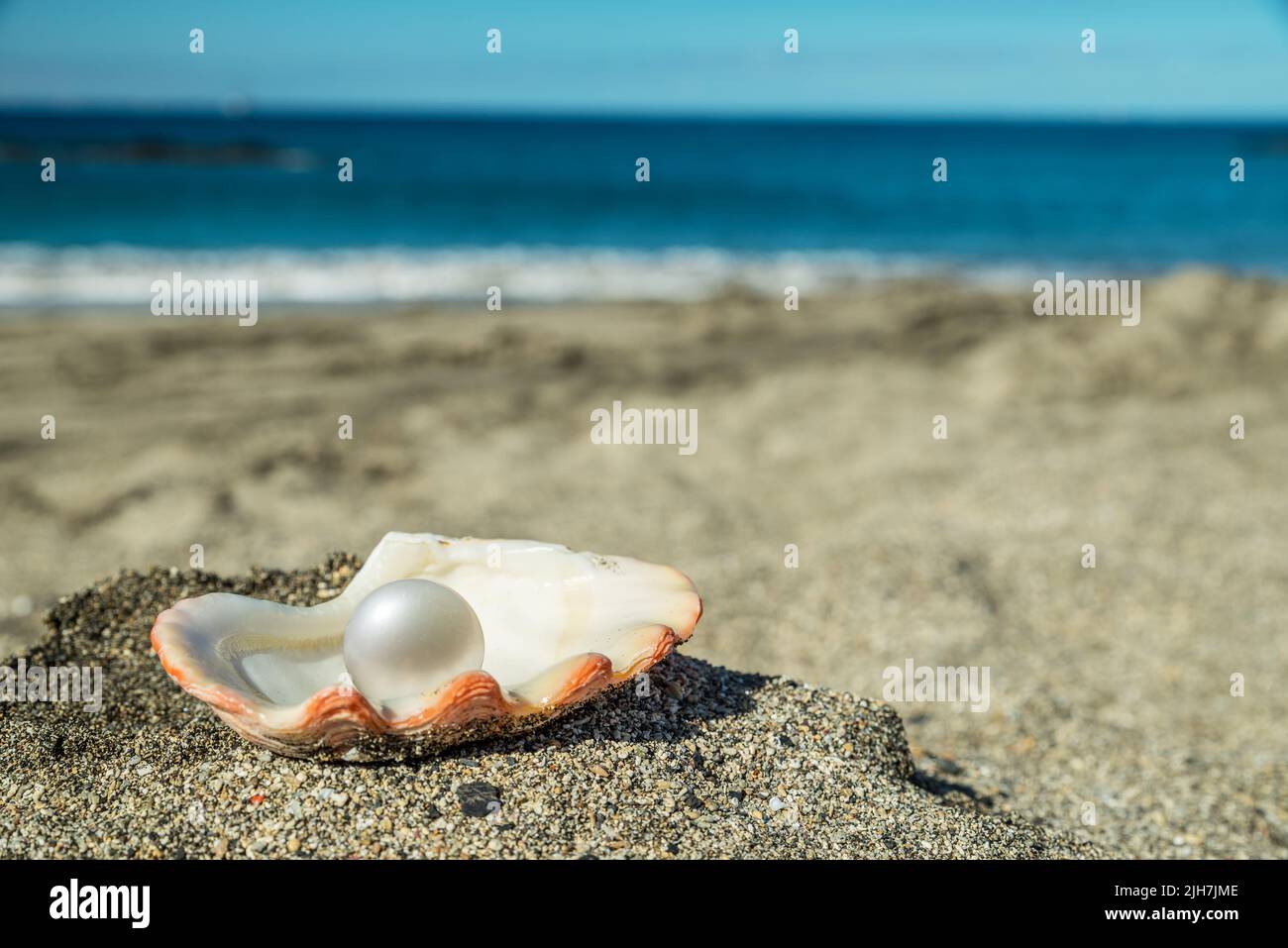 Bella perla nella conchiglia della perla sulla spiaggia di sabbia. Mare e cielo blu. Foto Stock