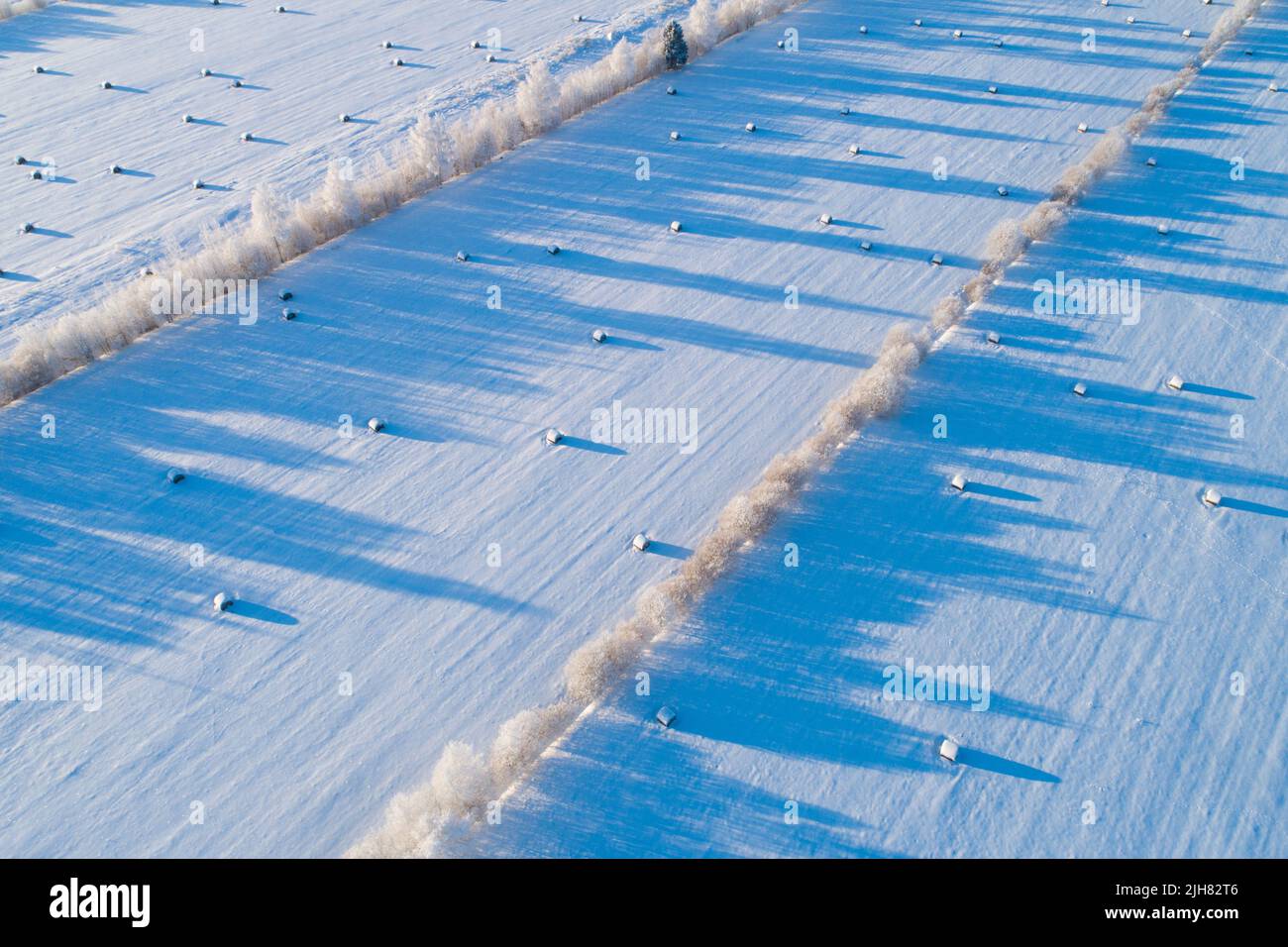 Paesaggio rurale congelato con balle di fieno durante una fredda e soleggiata giornata invernale in Estonia, Nord Europa. Foto Stock