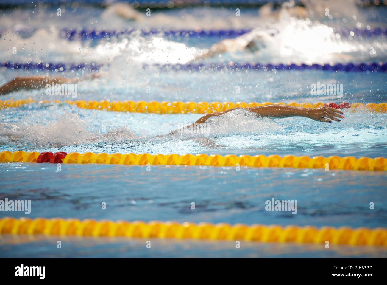 Dettagli con un atleta maschile professionista nuoto in una piscina olimpionica freestyle. Foto Stock