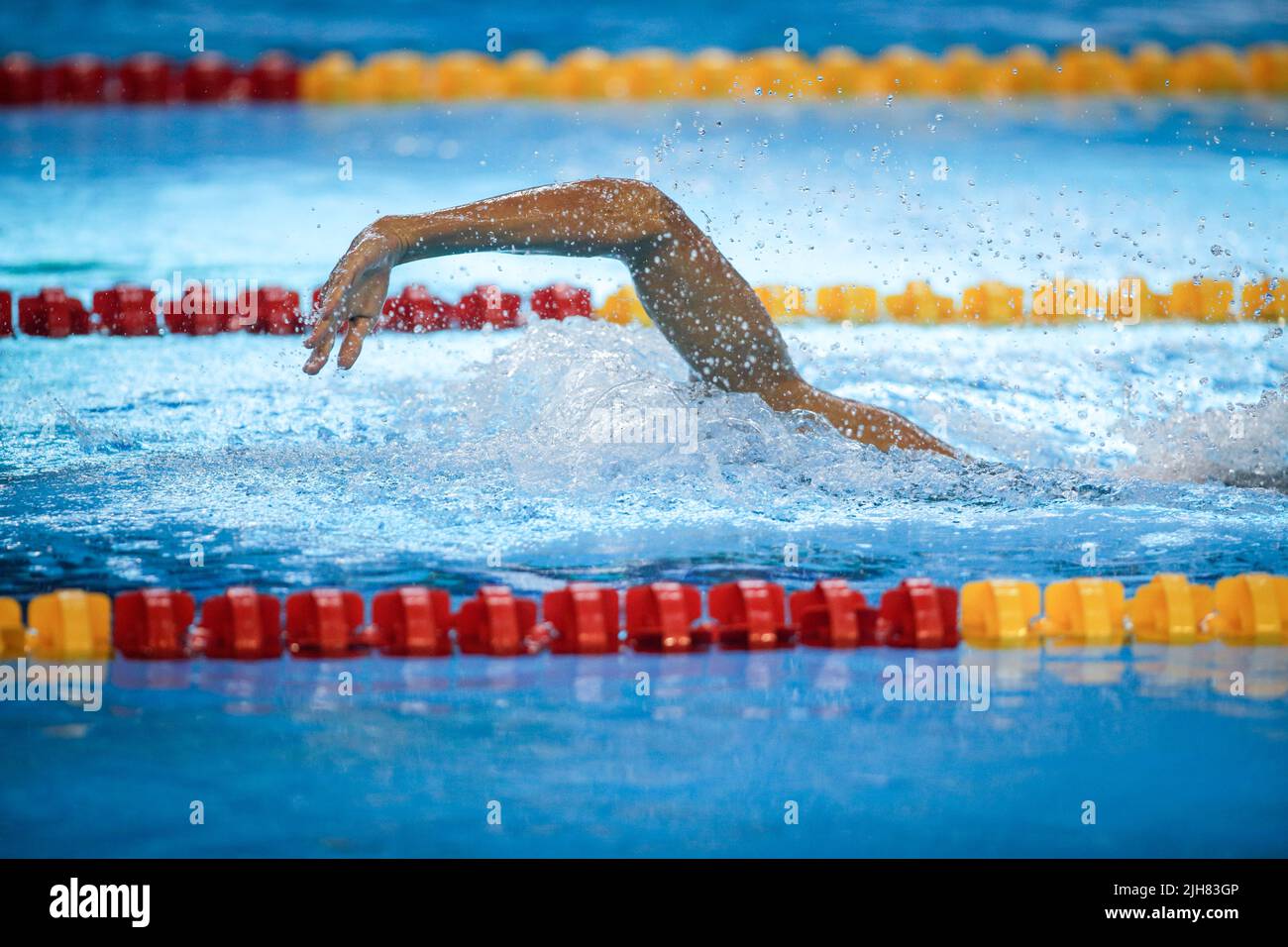 Dettagli con un atleta maschile professionista nuoto in una piscina olimpionica freestyle. Foto Stock