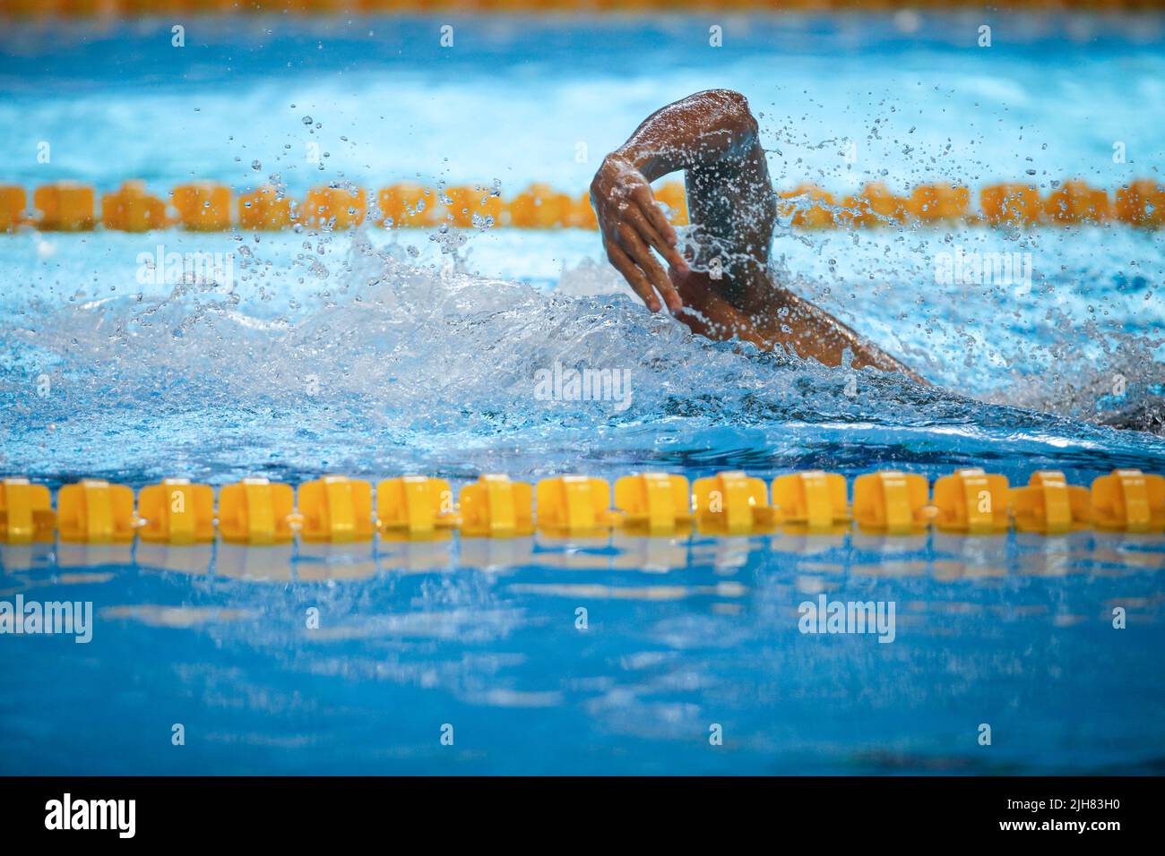 Dettagli con un atleta maschile professionista nuoto in una piscina olimpionica freestyle. Foto Stock