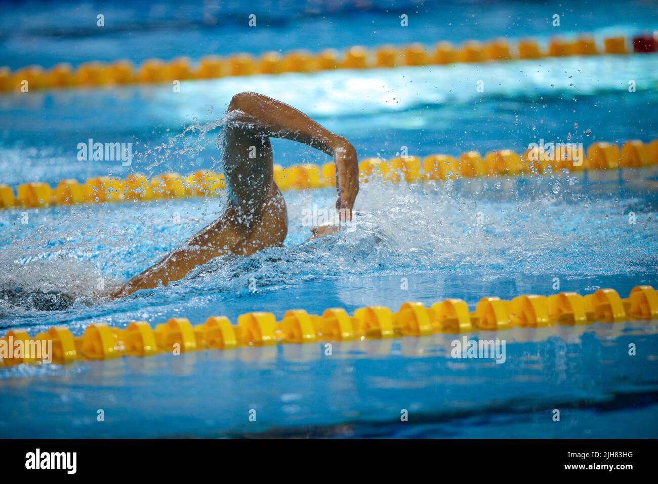 Dettagli con un atleta maschile professionista nuoto in una piscina olimpionica freestyle. Foto Stock