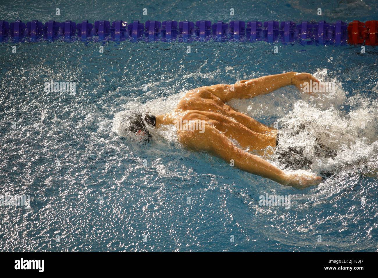 Dettagli con un atleta maschile professionista nuoto in una piscina olimpionica in stile farfalla. Foto Stock