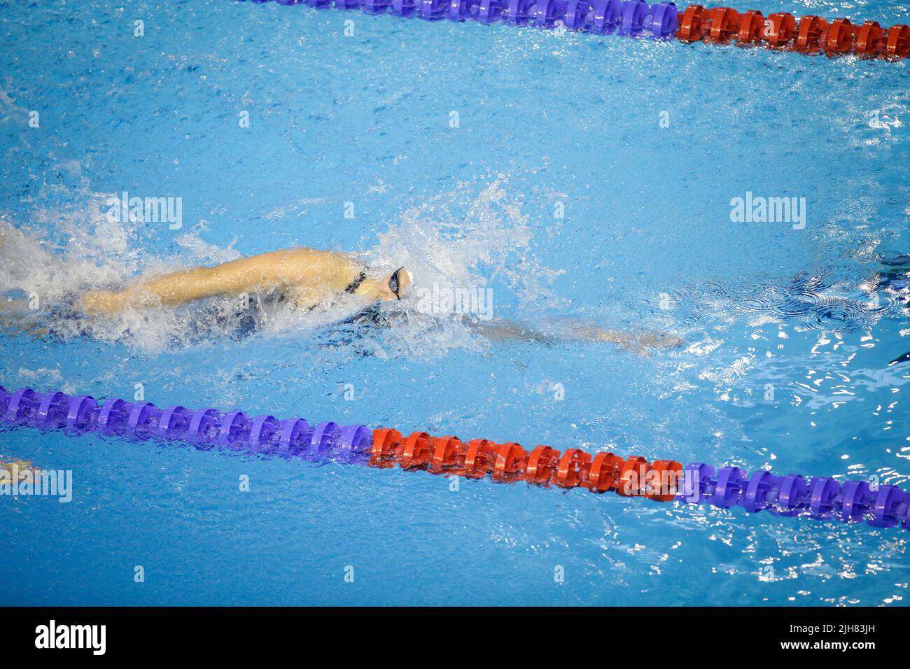 Dettagli con una atleta professionista nuoto in una piscina olimpionica. Foto Stock