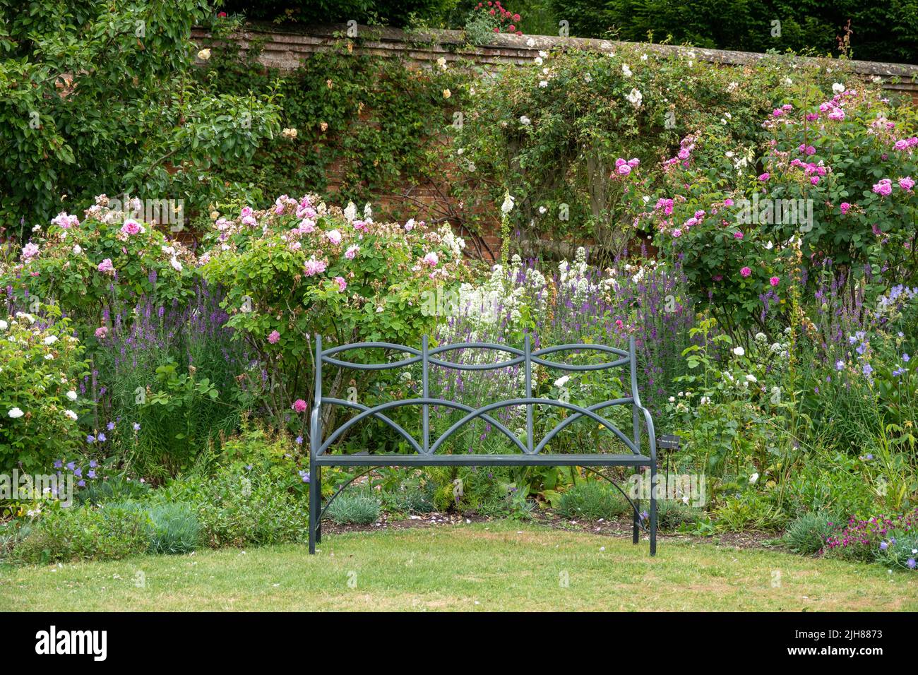 Panca in un giardino di campagna inglese con rose in fiore sullo sfondo Foto Stock